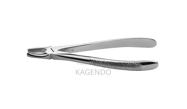 Upper Anterior Forceps - main view