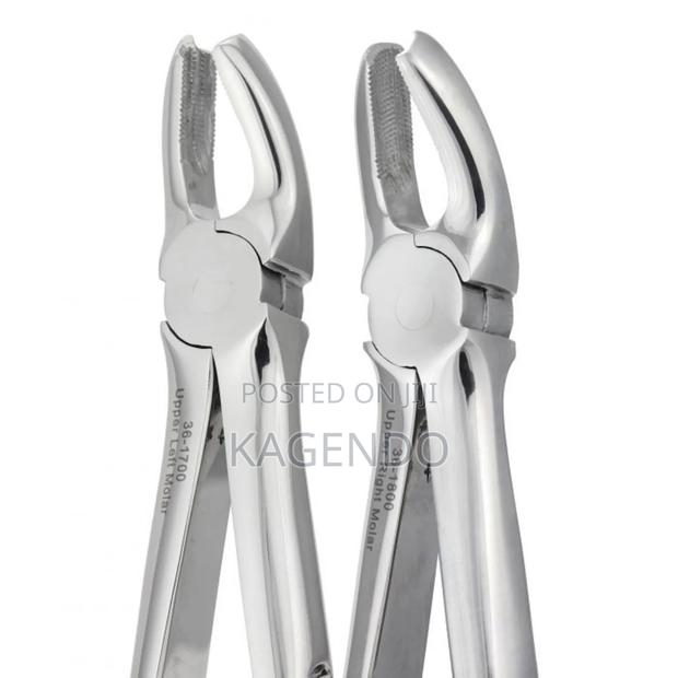Upper Anterior Forceps - thumbnail 2