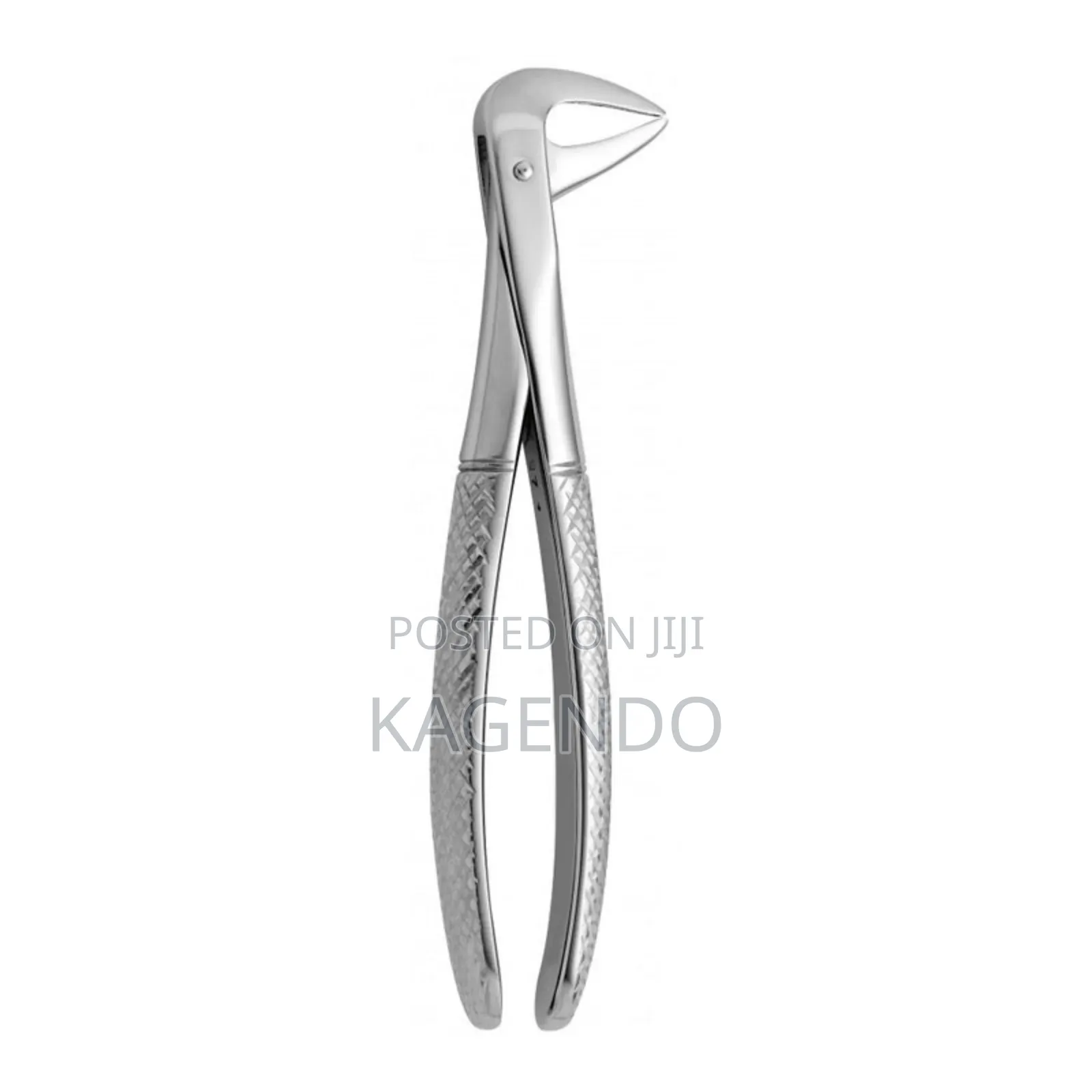Lower Anterior Forceps