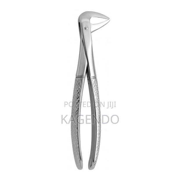 Lower Anterior Forceps - main view