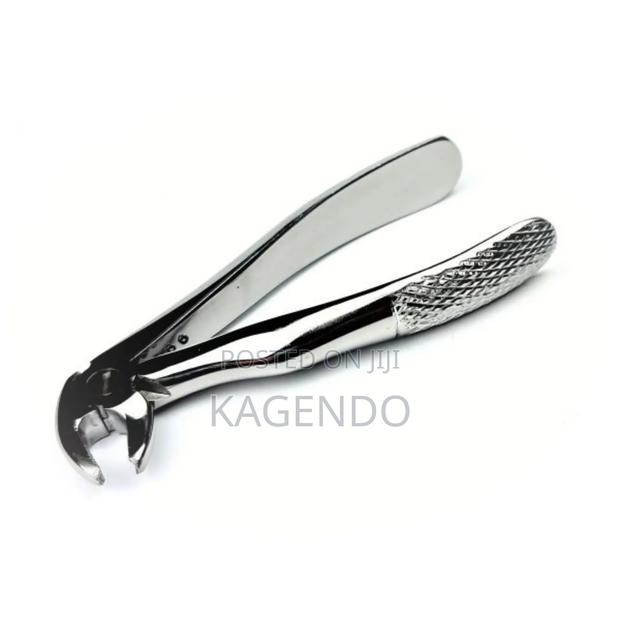 Lower Anterior Forceps - thumbnail 3