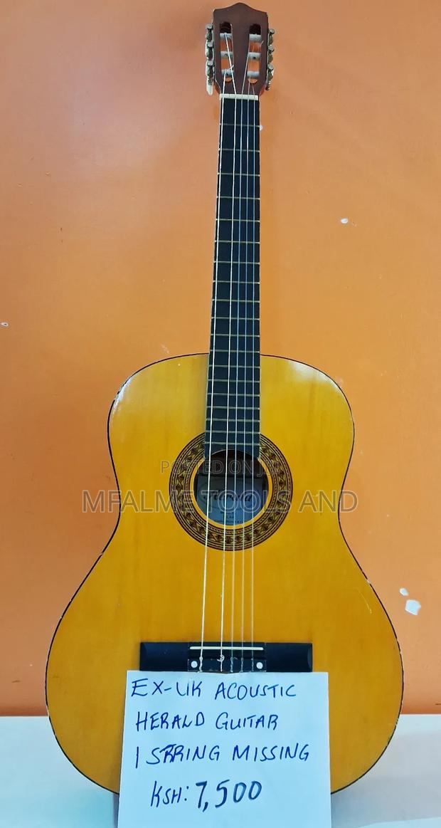 Acoustic Guitar - main view