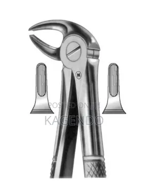 Lower Premolar Forceps