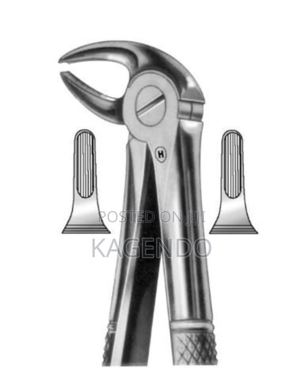 Lower Premolar Forceps - main view