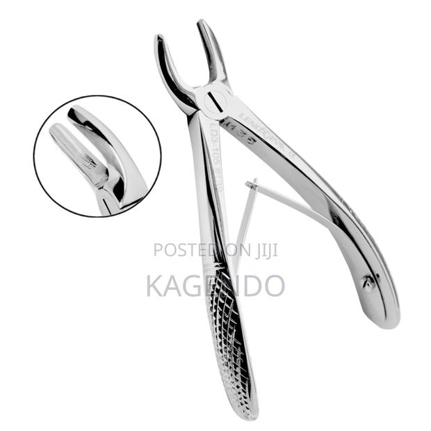 Upper Premolar Forceps