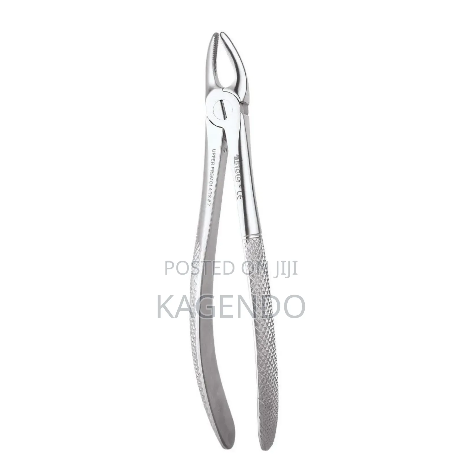 Upper Premolar Forceps
