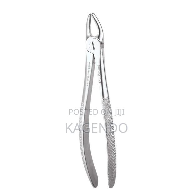 Upper Premolar Forceps - thumbnail 2