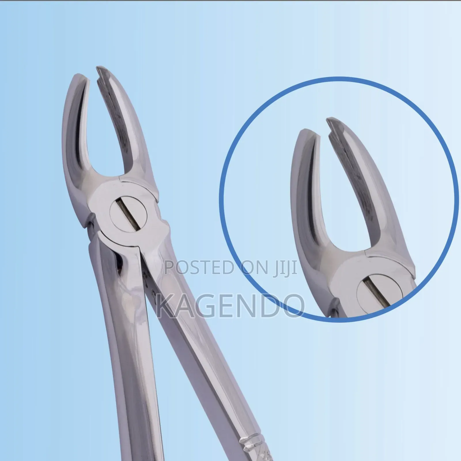 Upper Molar Forceps
