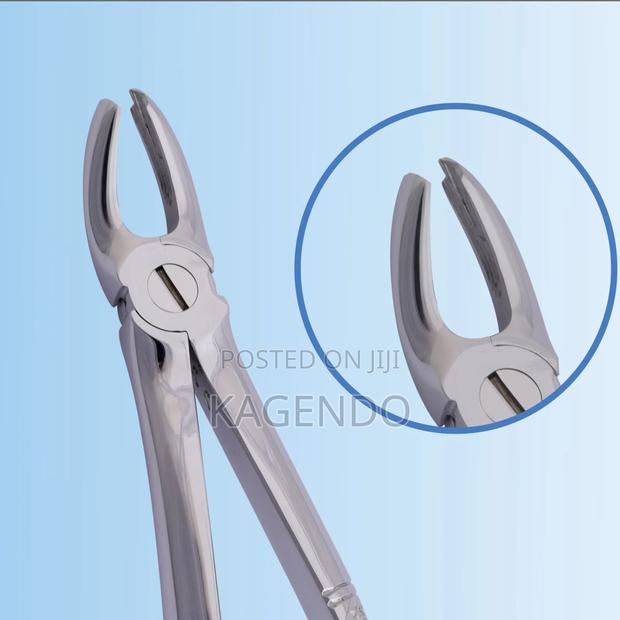 Upper Molar Forceps