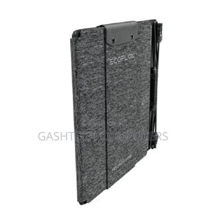 Ecoflow 60w Portable Solar Panel Type-C Output Port - thumbnail 2