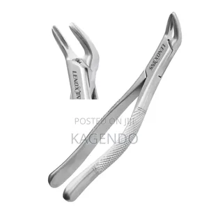Lower Anterior Forceps Paediatric