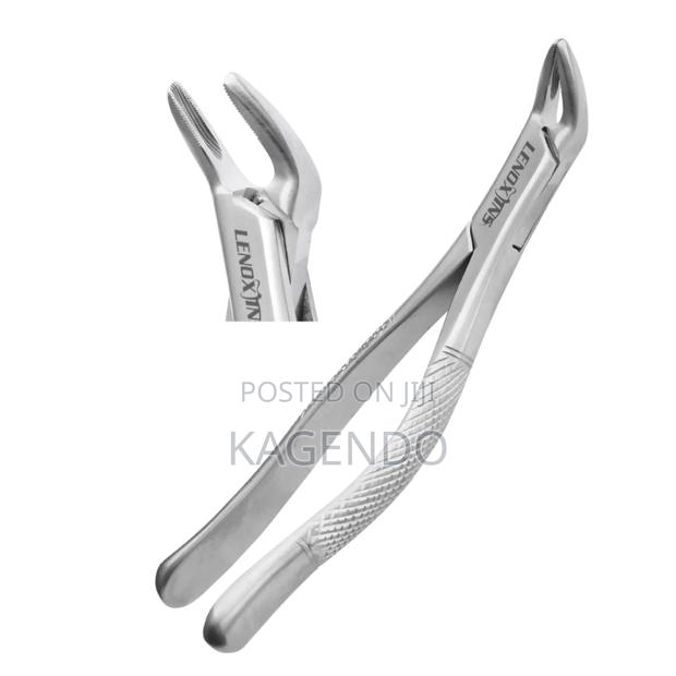Lower Anterior Forceps Paediatric - main view