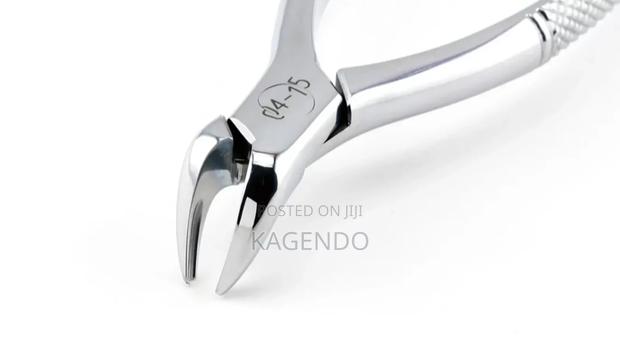 Lower Anterior Forceps Paediatric - thumbnail 2