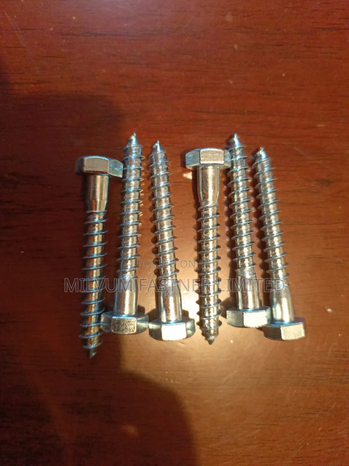 Galvanized Coach Screws
