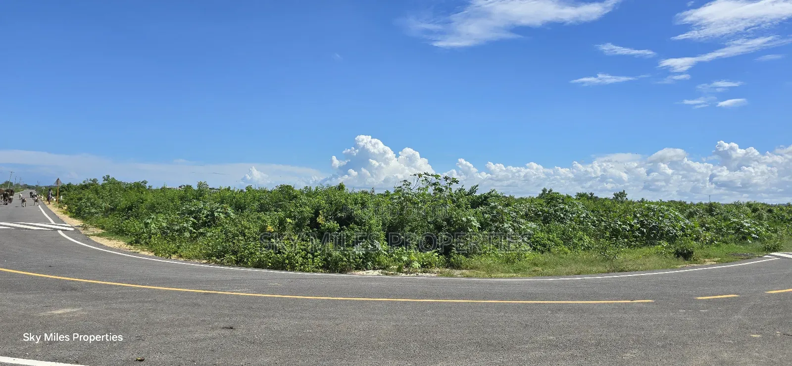 Prime 1/4 Acre Corner Plot for Sale – Vipingo
