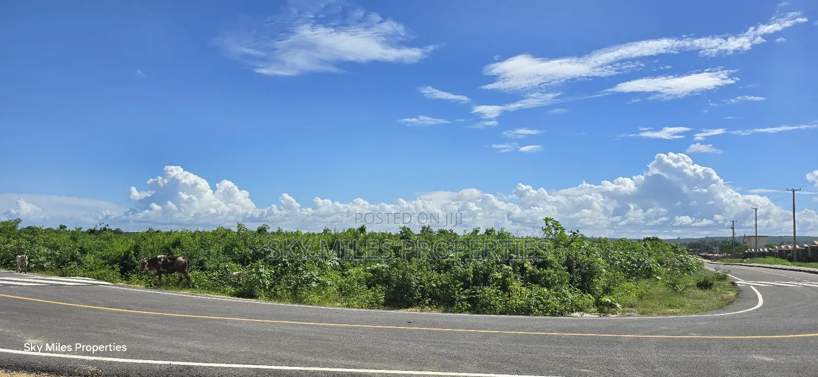 Prime 1/4 Acre Corner Plot for Sale – Vipingo