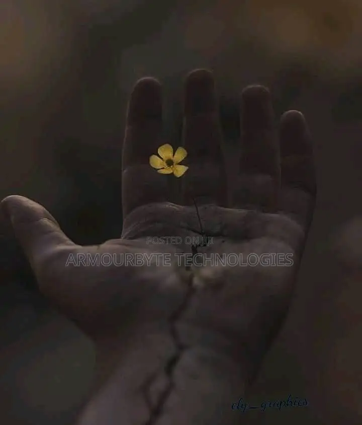 Custom Design, Manipulation and Editing