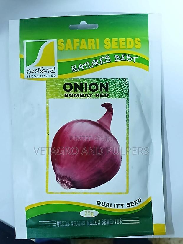 Onion Bombay Red - main view