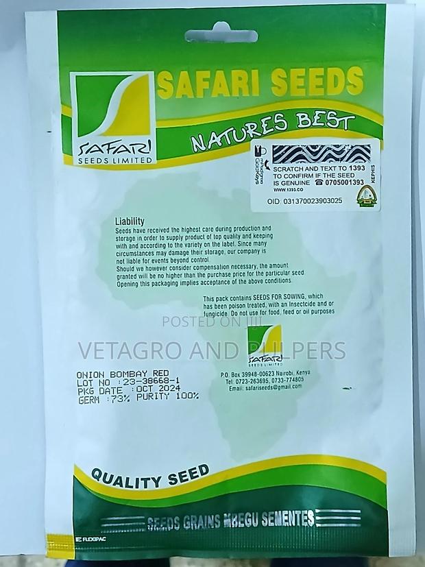 Onion Bombay Red - thumbnail 3