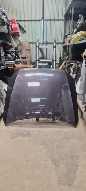 Audi Q5 Hood