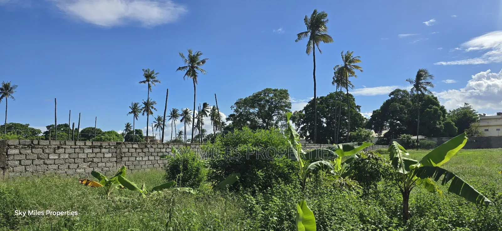 Prime Parcel of 4-Acre Land for Sale – Mtwapa Coca-Cola Area