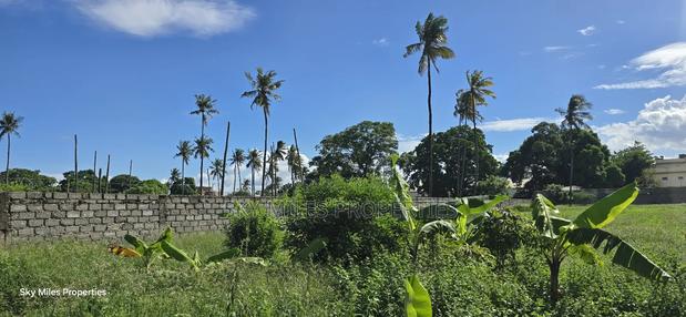 Prime Parcel of 4-Acre Land for Sale – Mtwapa Coca-Cola Area - thumbnail 9