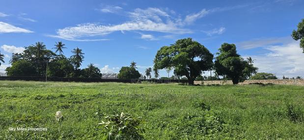 Prime Parcel of 4-Acre Land for Sale – Mtwapa Coca-Cola Area - thumbnail 11