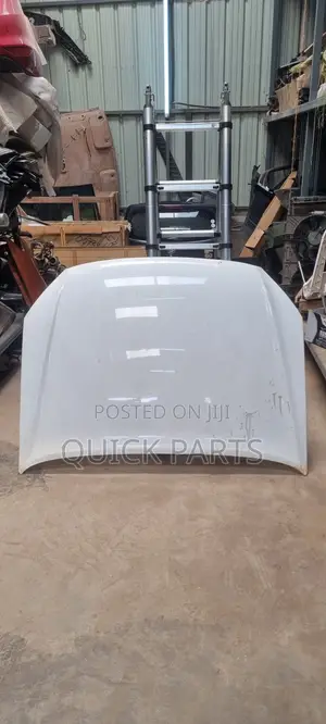 Isuzu D-Max Hood