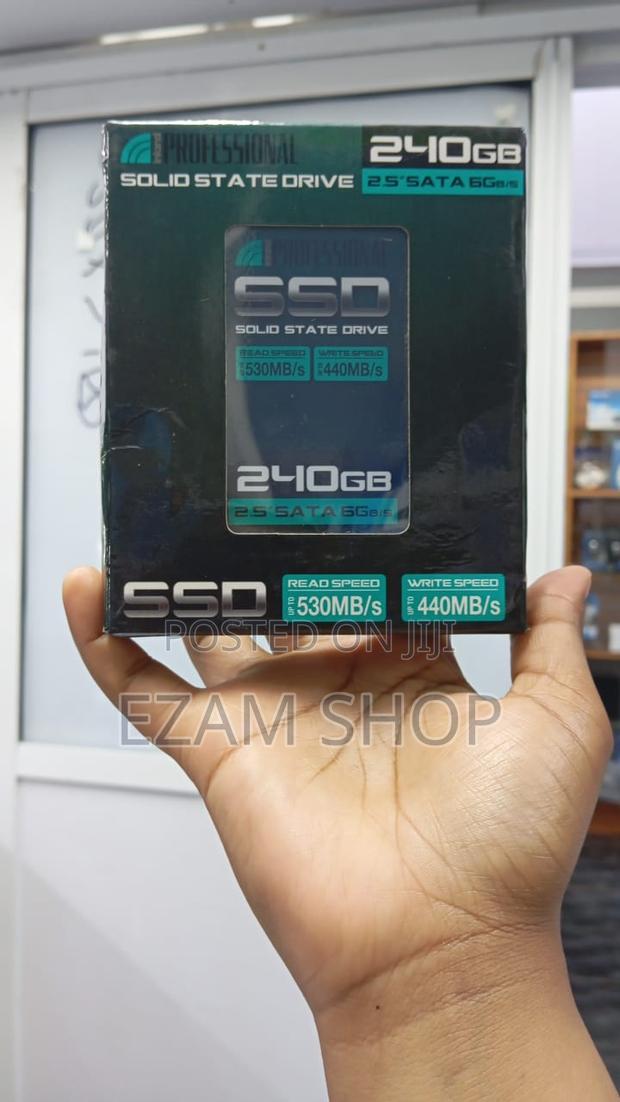 Professional Solid State Drive 240 Gb