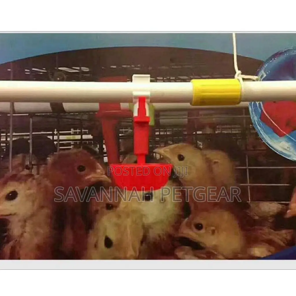 Automatic Water Drinking Cups + Chicken Nipple Drinkers