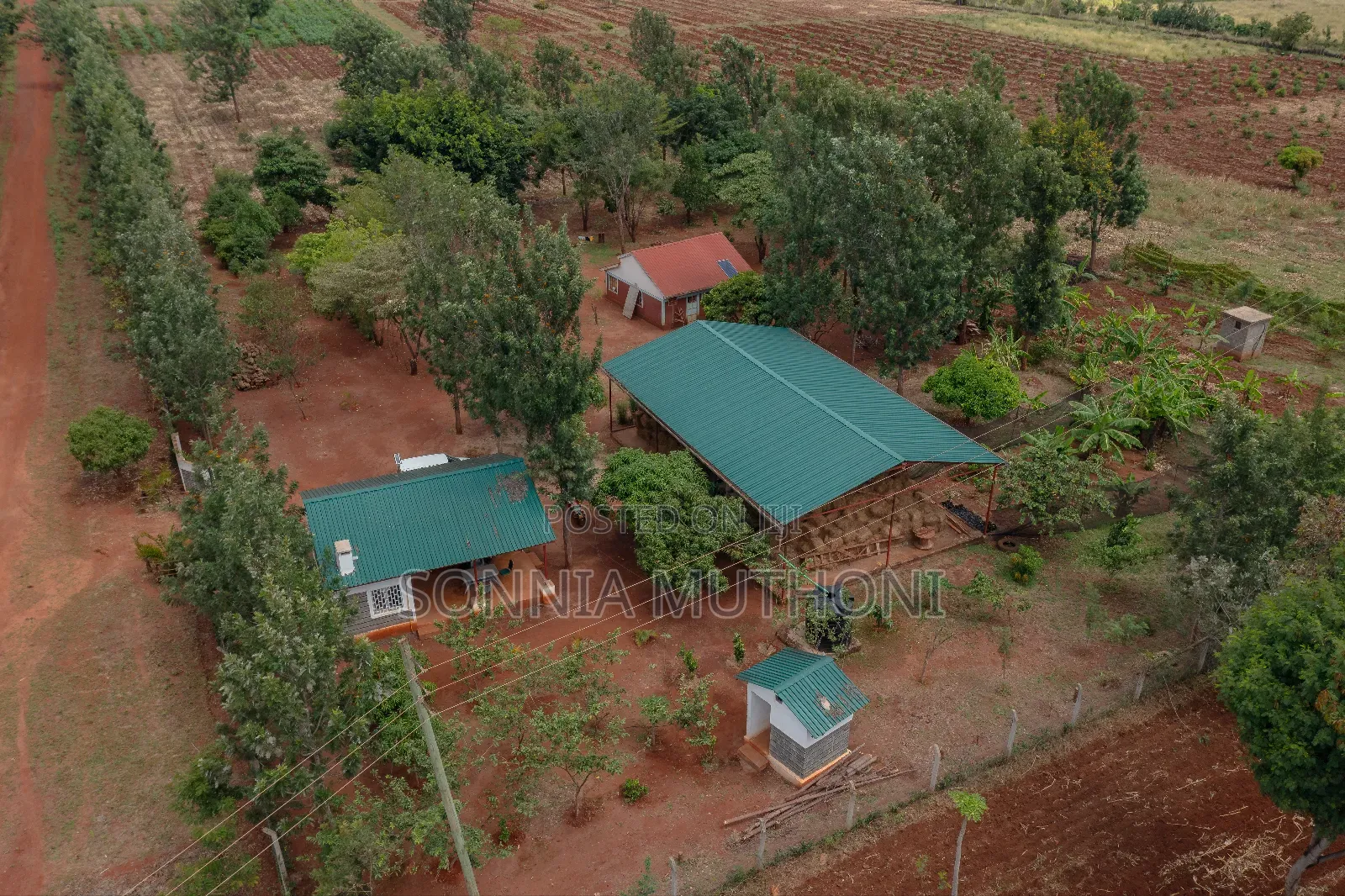 Farm on Sale