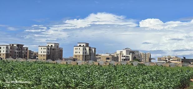 Vipingi, a Prime 1-Acre Land for Sale, Near Utalii Campus - main view