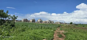 Vipingi, a Prime 1-Acre Land for Sale, Near Utalii Campus