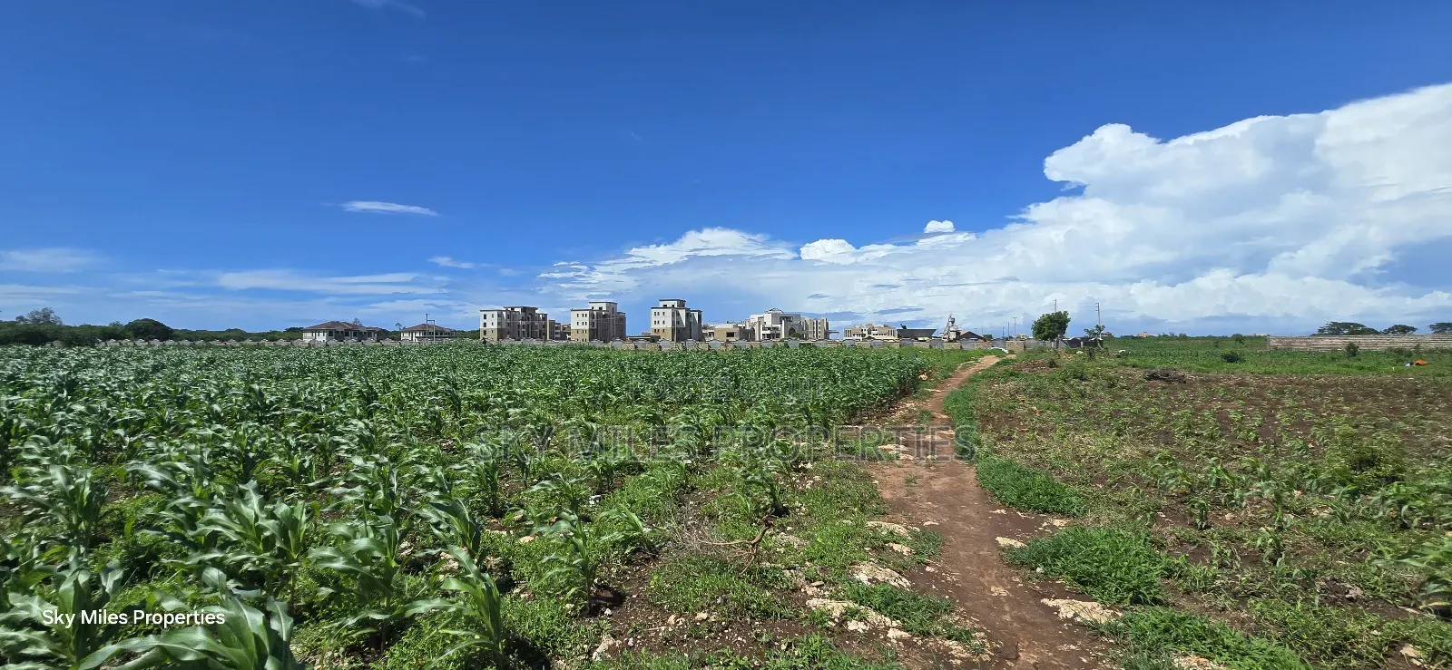 Vipingi, a Prime 1-Acre Land for Sale, Near Utalii Campus