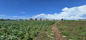 Vipingi, a Prime 1-Acre Land for Sale, Near Utalii Campus
