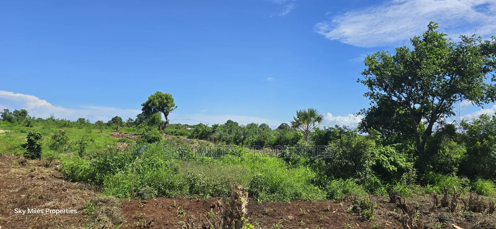 Vipingi, a Prime 1-Acre Land for Sale, Near Utalii Campus