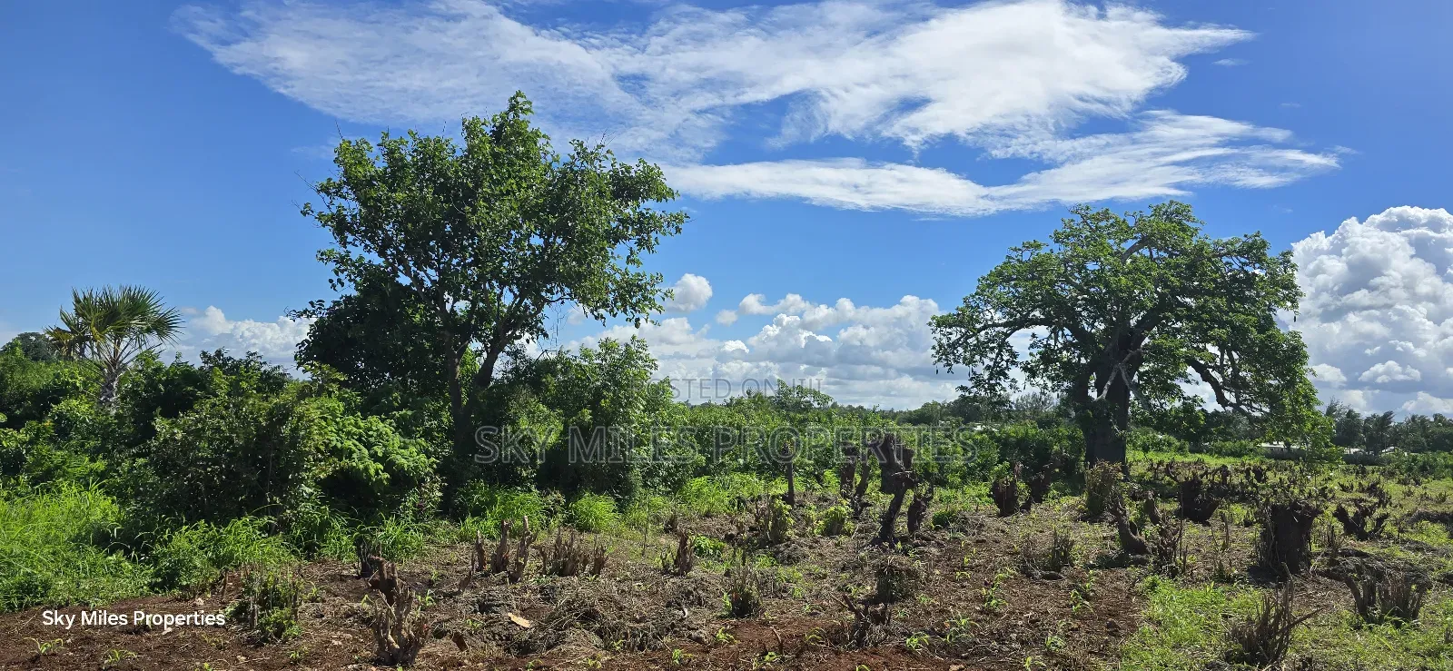 Vipingi, a Prime 1-Acre Land for Sale, Near Utalii Campus