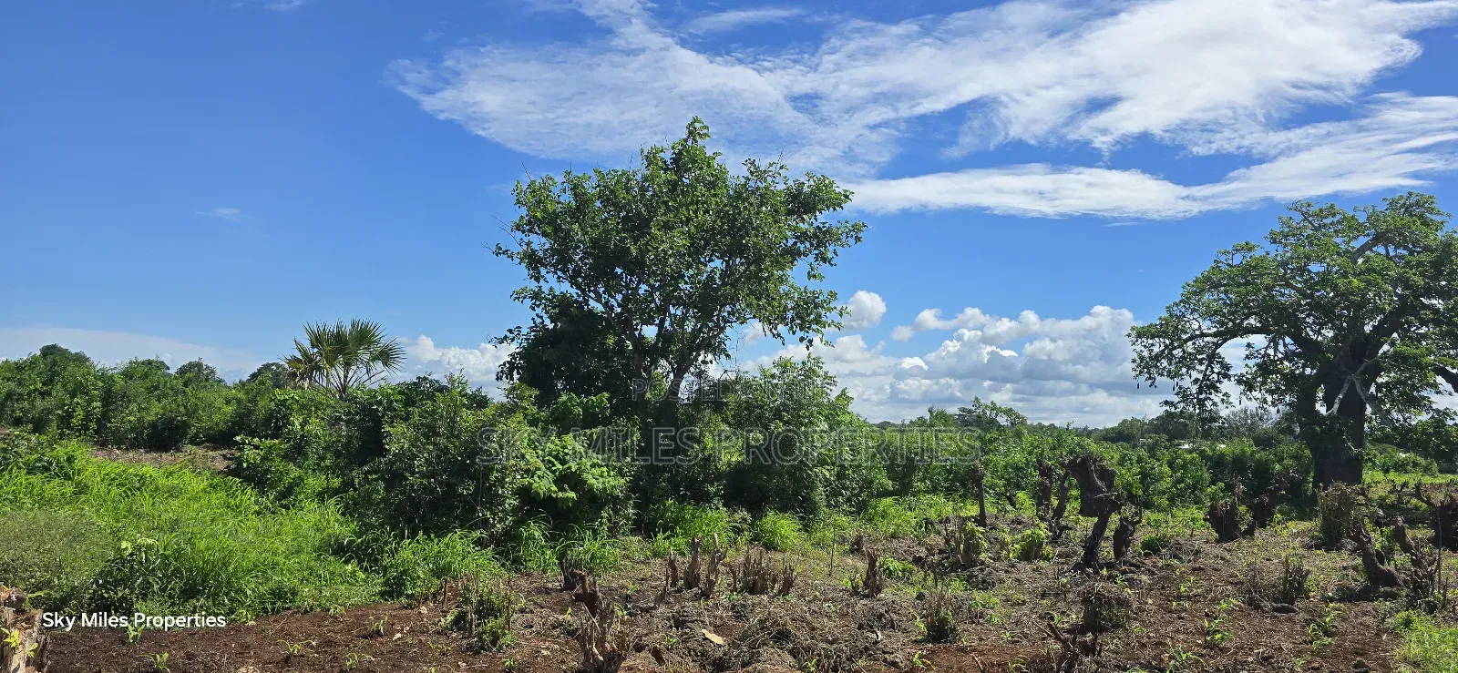 Vipingi, a Prime 1-Acre Land for Sale, Near Utalii Campus