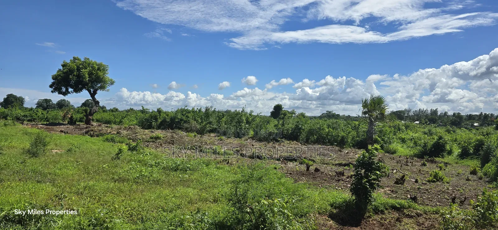 Vipingi, a Prime 1-Acre Land for Sale, Near Utalii Campus