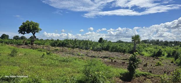 Vipingi, a Prime 1-Acre Land for Sale, Near Utalii Campus - thumbnail 12