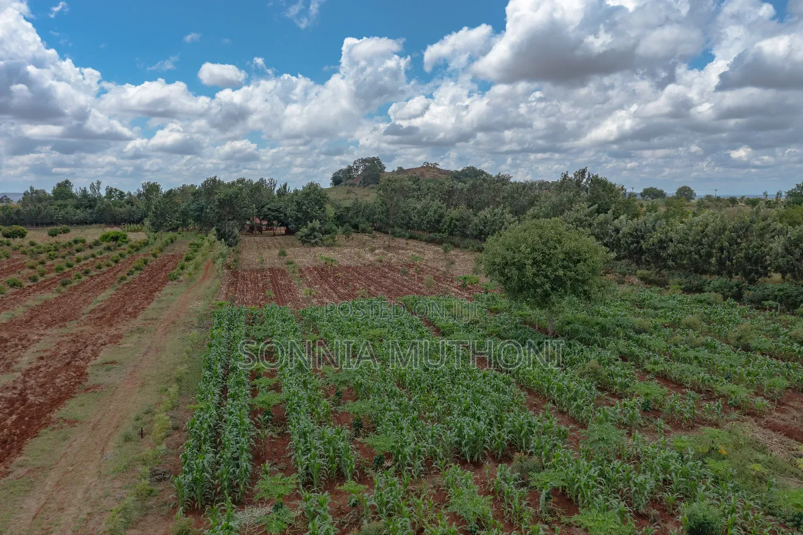Farm on Sale