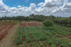 Farm on Sale
