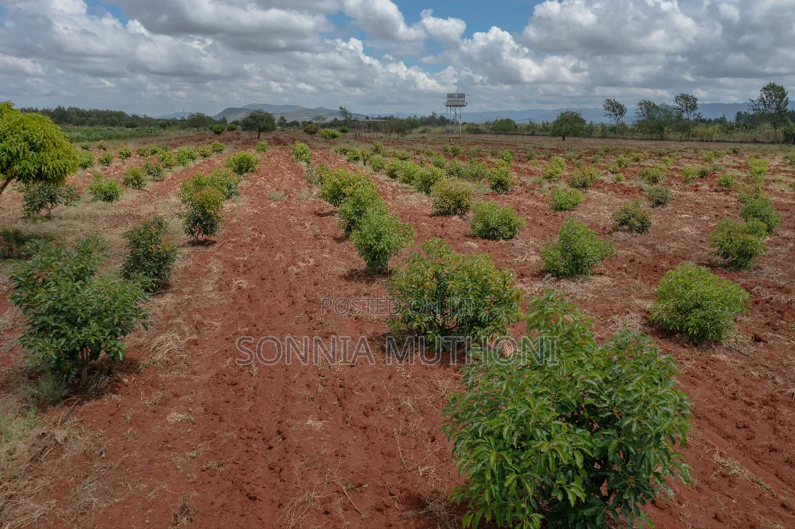 Farm on Sale