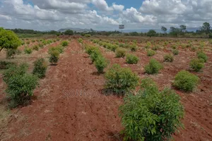 Farm on Sale