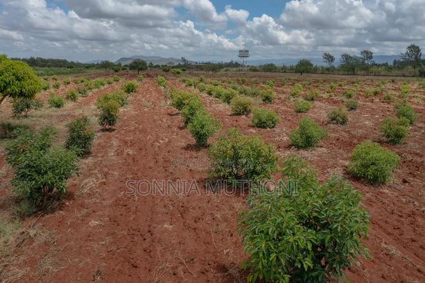 Farm on Sale - thumbnail 4