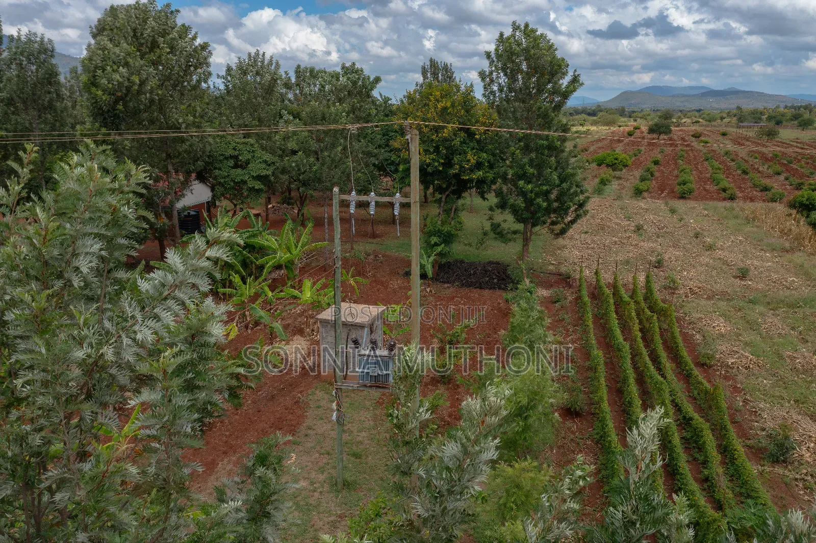 Farm on Sale