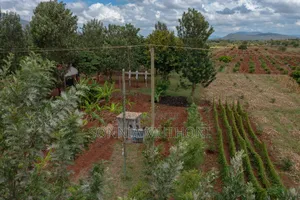 Farm on Sale