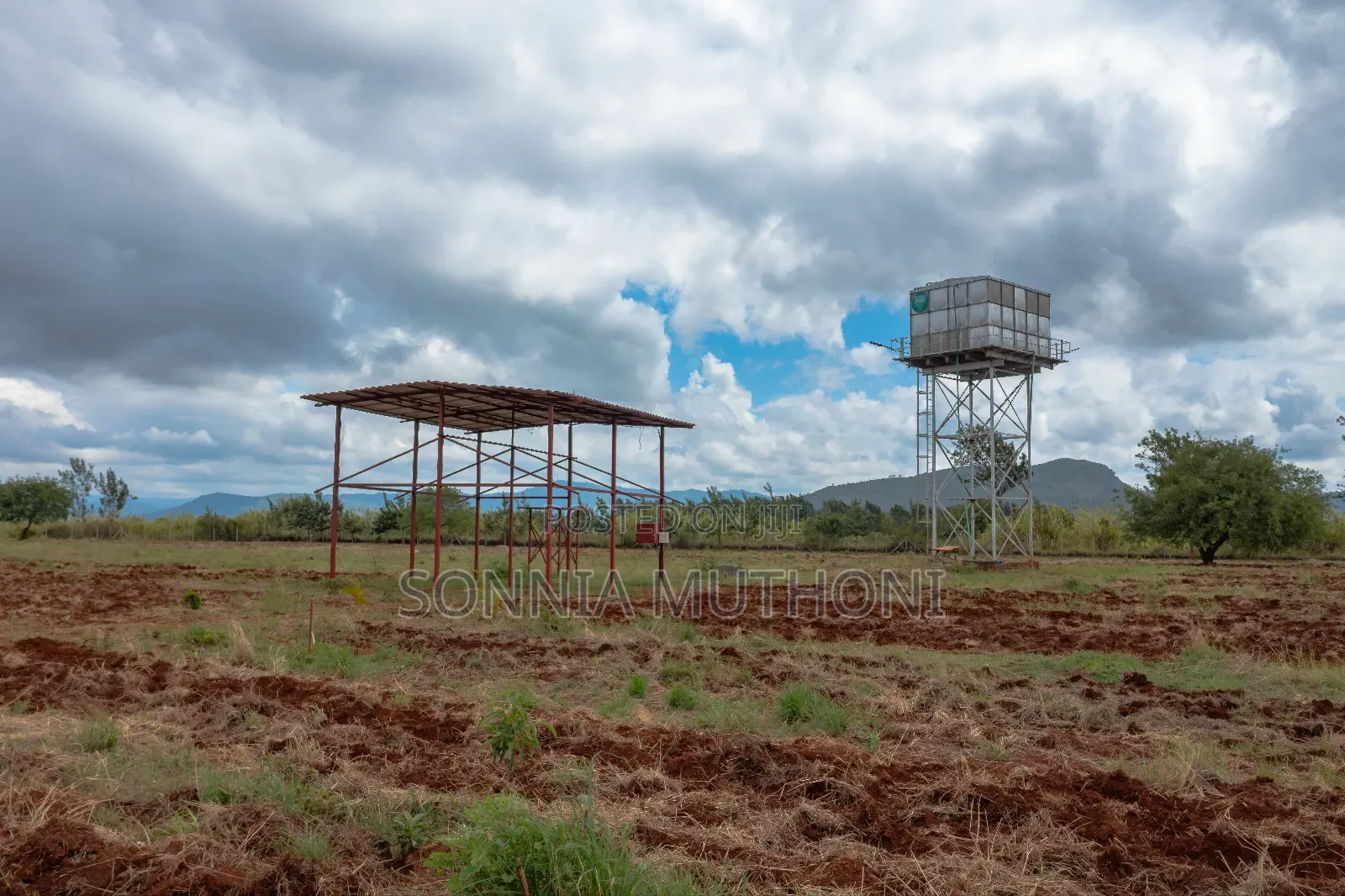Farm on Sale