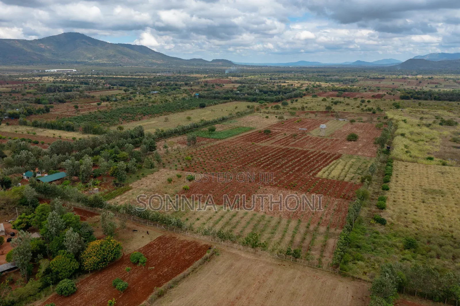 Farm on Sale
