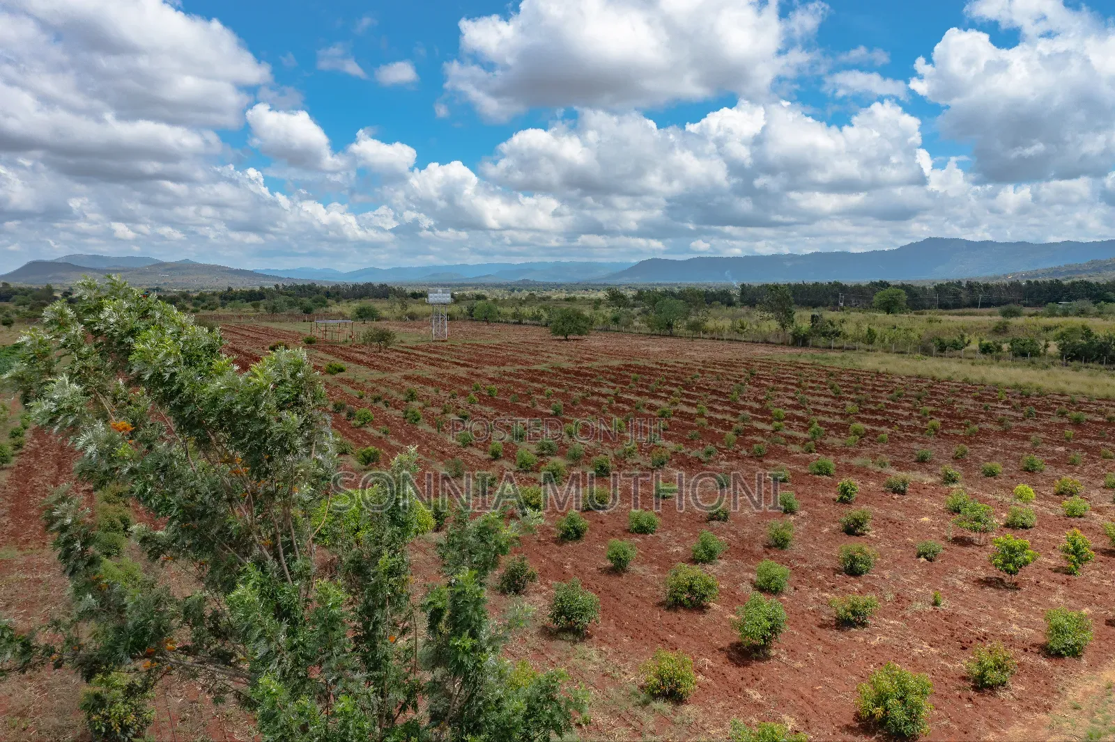 Farm on Sale